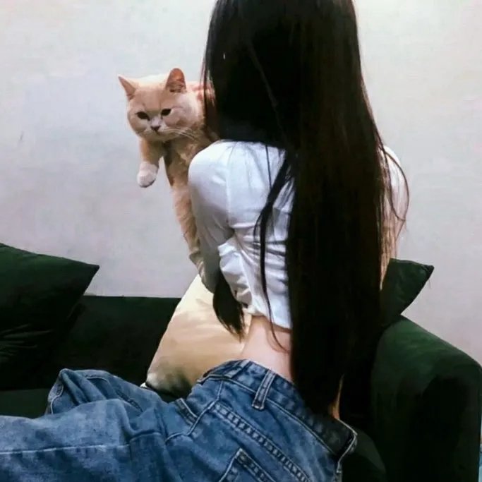 与母亲的蜜月 海报