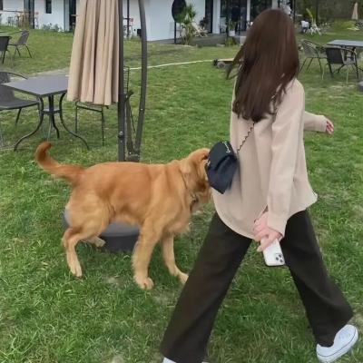 红尘 海报