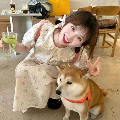 郁金香狂潮 海报